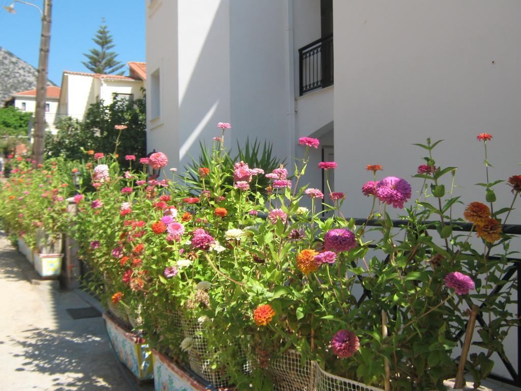 Friderica House Hotel Poros  Room photo