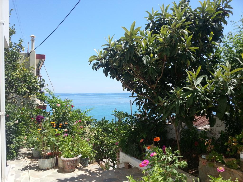 Friderica House Hotel Poros  Exterior photo